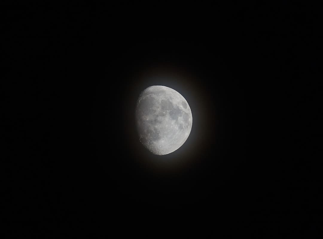 《献鱼》夜洳凌是什么身份 夜洳凌结局是什么？